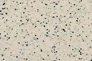 Линолеум Mipolam Elegance El5 0353 Beige фото  | FLOORDEALER